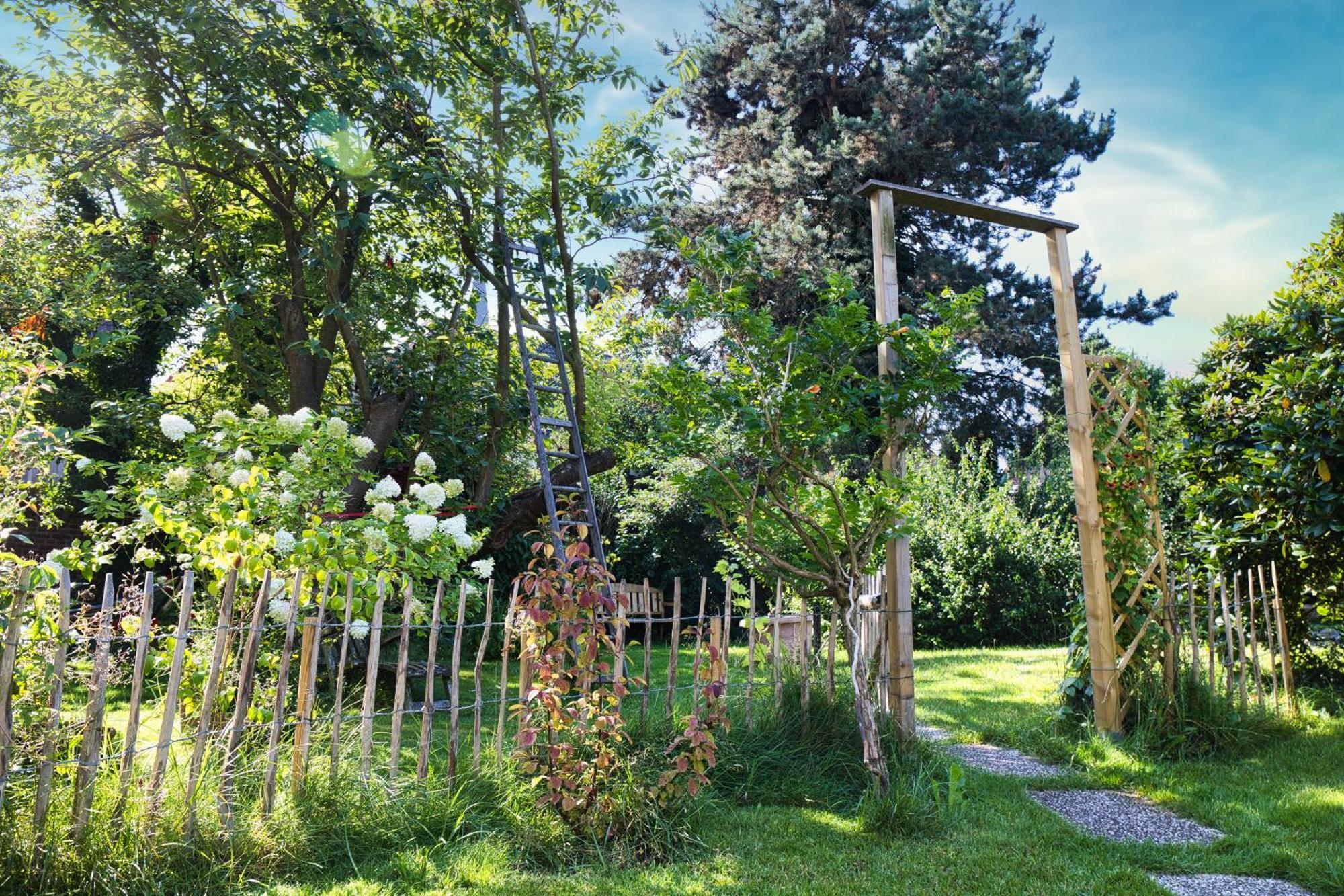 Gasthaus Benke, Fachwerkhaus In Westfalen داتلن المظهر الخارجي الصورة