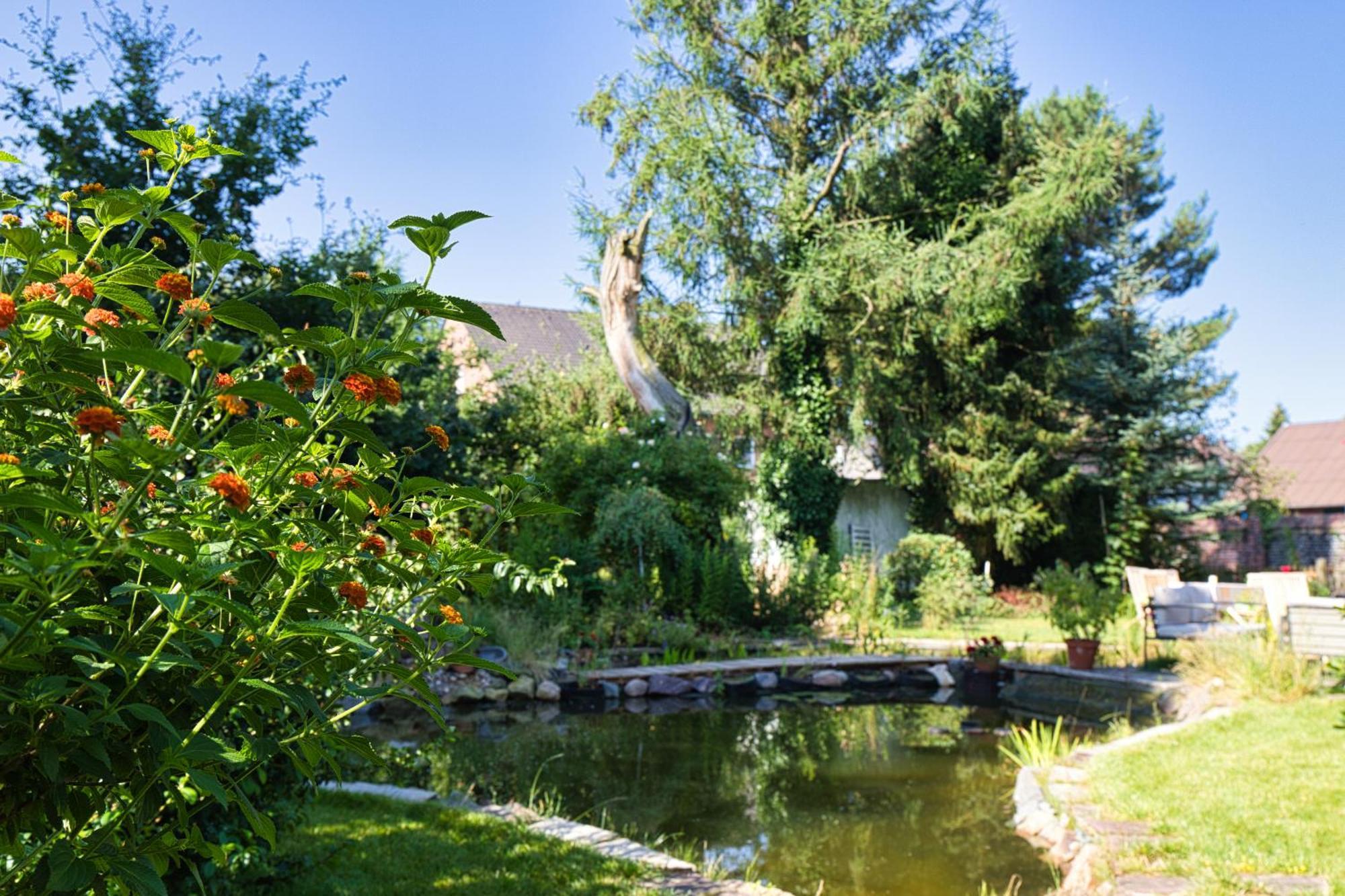 Gasthaus Benke, Fachwerkhaus In Westfalen داتلن المظهر الخارجي الصورة